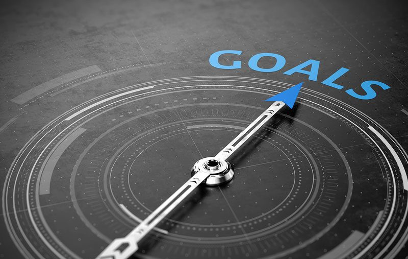 Goal direction visual